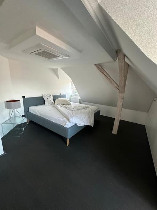 Panorama Penthouse In Wunderschoener Villa Kassel Ngoại thất bức ảnh
